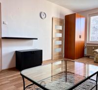 Living room in a two-room apartment with a wooden decor floor, a sofa, and a cabinet.