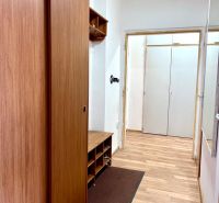 A hallway with a wooden decor floor and built-in wardrobes in a 2-room apartment.