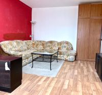 Living room with a sofa, wardrobe, and wooden decor flooring in a 2-room apartment.