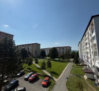 A view of the housing estate with a parking lot, trees, and apartment buildings on Mierová Street in Stará Ľubovňa.