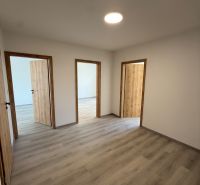 A room in a 3-room apartment with a wooden-decor floor and three doors.