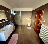 Bathroom in a family house with brown tiles, a shower corner, and a sink.