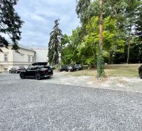 Parking lot on Palisády in Bratislava surrounded by trees and historical architecture.