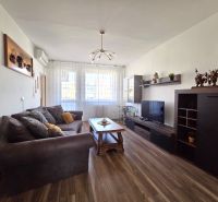 Living room in a three-room apartment with a sofa and a wooden decor floor.