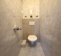 A bathroom with tiles in a 3-room apartment, complemented by decorative plants.