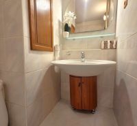A bathroom in a 3-room apartment with a mirror, a sink, and a cabinet with a wooden decor.