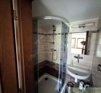 Bathroom with a shower, sink, and mirror.