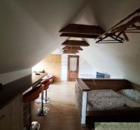 Loft space with a bed, bar counter, and wooden decor flooring.