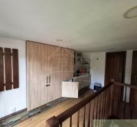 Interior of commercial spaces with wood-patterned flooring and built-in wardrobe.