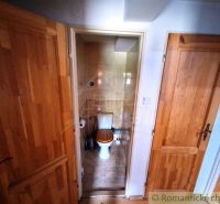 Small bathroom with toilet, two doors, wooden decor flooring.