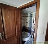 Bathroom with a corner shower and rustic wooden doors in commercial premises.