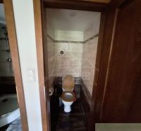 Bathroom with toilet and shower in commercial premises.