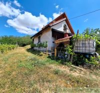 A cottage in Gbelce surrounded by greenery and vineyards under a blue sky.