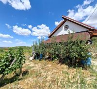 A cottage in Gbelce surrounded by vineyards and greenery under a blue sky.