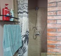 Bathroom in a cabin with a brick wall, shower, and bathroom accessories.