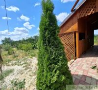 A cottage in Gbelce with a landscaped garden, a yard with trees, and a stone pathway.