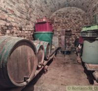Stone cellar at the cottage with wooden barrels and plastic containers.