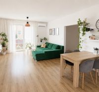 Living room with wood-patterned flooring, green sofa, and plants in a 3-room apartment.