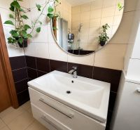 A bathroom in a 3-room apartment with a mirror, a sink, and plants on the walls.