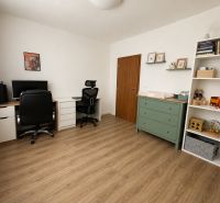 A home office in a 3-room apartment with a wood-patterned floor and storage space.
