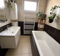 A bathroom in a 3-room apartment with a bathtub, a large mirror, and plants on the walls.