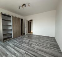 Spacious room with wood-patterned flooring and a built-in wardrobe in a 2-room apartment.