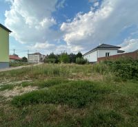 A garden around houses in Telince with variable cloudiness in the sky.