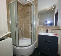 Bathroom with a shower, dark cabinet, and mirror in a 2-room apartment.
