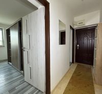 A hallway in a 2-room apartment with a wood-patterned floor and built-in wardrobes.