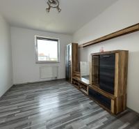Living room in a 2-room apartment with a wooden decor floor and furniture.