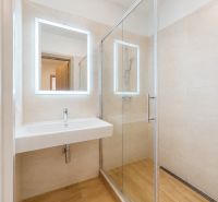 A bathroom in a 3-room apartment with a sink and a shower corner, flooring with a wooden decor.