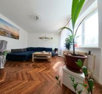 Living room in a family house with a sofa, plants, and a wooden decor floor.