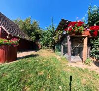 A garden with green grass and flowers by a family house in Tesárske Mlyňany on Školská Street.