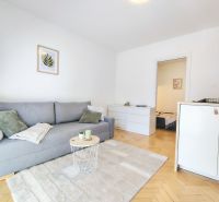 Living room with a sofa, white carpet, and wood-patterned flooring in a 2-room apartment.