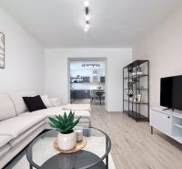 Living room in a two-room apartment with a wooden decor floor, a sofa, and a television.
