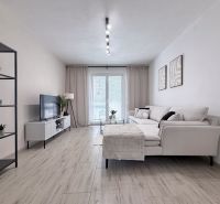 Living room in a two-room apartment with a sofa, television, and wood-patterned flooring.