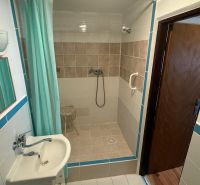 Bathroom with an open shower and a sink in a family house.