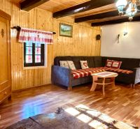 Interior of a family house with a corner sofa, cabinet, and floor with wood decor.