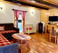 Living room with a fireplace, television, and wood-patterned flooring in a family house.