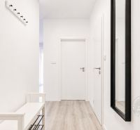 A hallway in a 2-room apartment with a wooden decor floor, a mirror, and a coat rack.