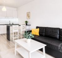 Living room of a two-room apartment with a kitchenette and a wooden decor floor.