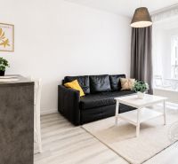 Interior of a 2-room apartment with a black sofa, white table, and bar counter.