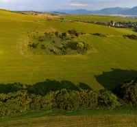 Green meadows and trees overlooking the village in Liptovský Trnovec, unique properties.
