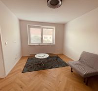 A bright room in a 4-room apartment with a sofa, carpet, and wood-patterned flooring.