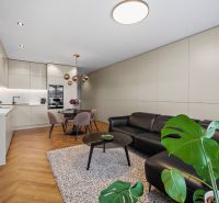 Interior of a 3-room apartment with an open kitchen, wooden decor flooring, and plants.