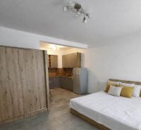 Bedroom in a studio apartment with a kitchen, wooden decor flooring, gray furniture.