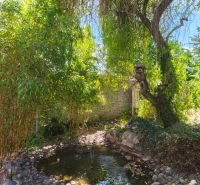 A garden with a pond and trees in a family house in Mankovce.