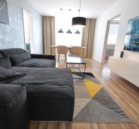 Living room of a 3-room apartment with a sofa, television, and wooden decor flooring.