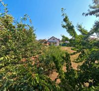 A family house on Prenosilova Street in Mojmírovce with a view through the greenery.
