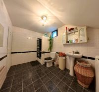 Bathroom with tiles, sink, mirror, and toilet in a family house.